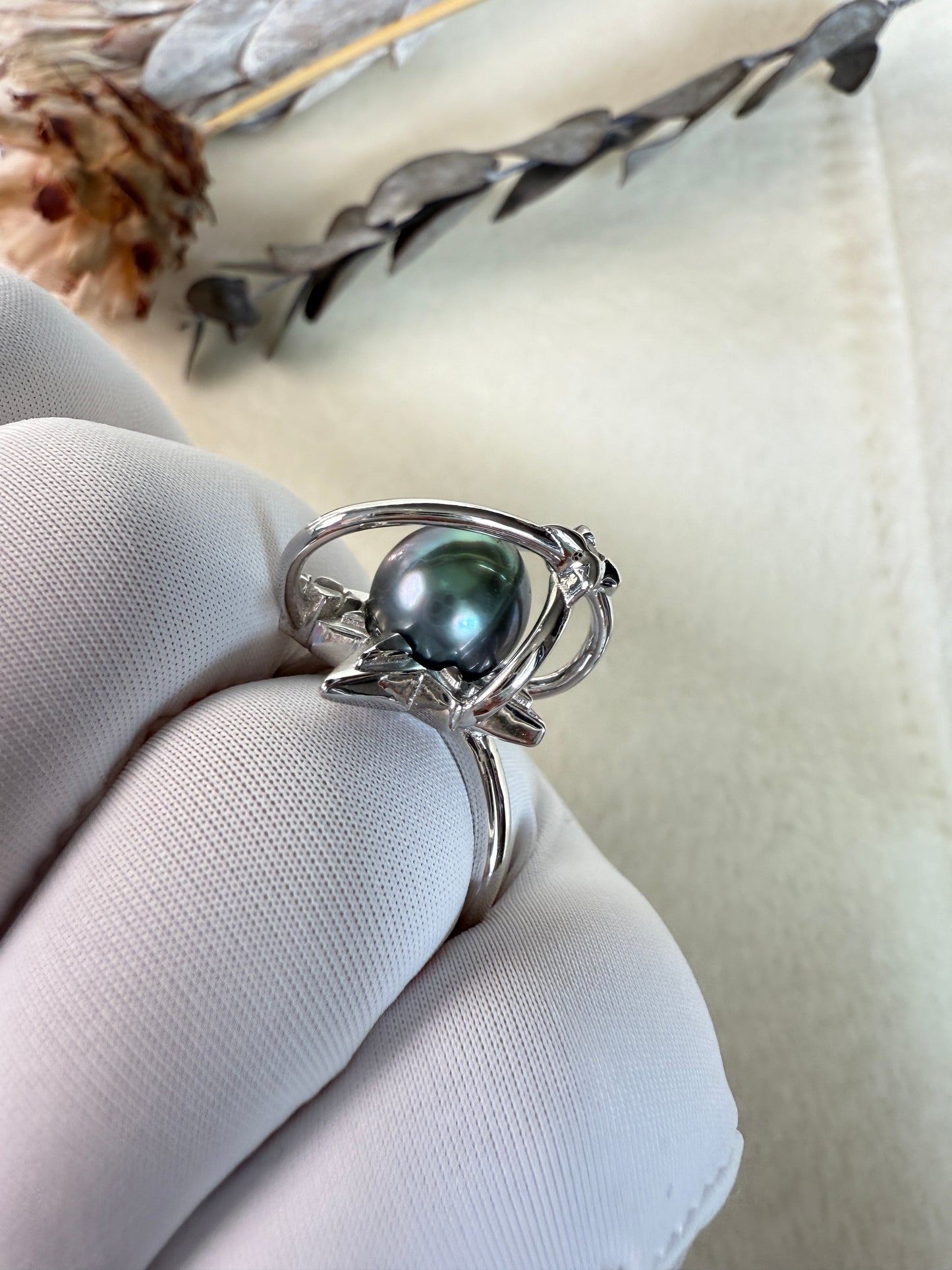 Astra | Adjustable Ring with Tahitian Pearl & Orbital Band