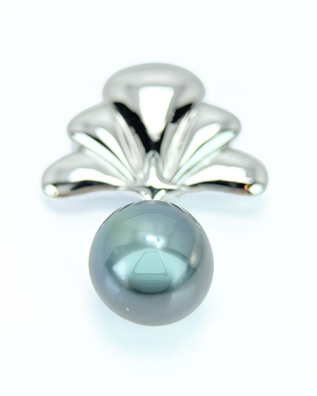 Pinctada | Smuccii signature Brooch
