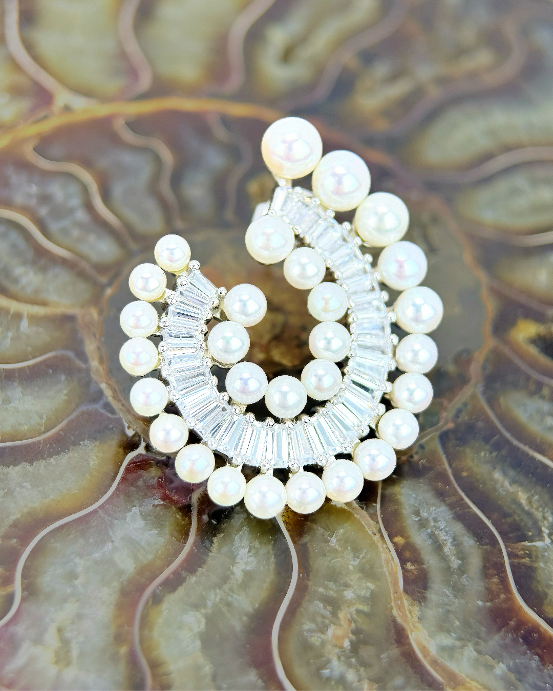 Nautilus | Fossil fresh pearl Earrings
