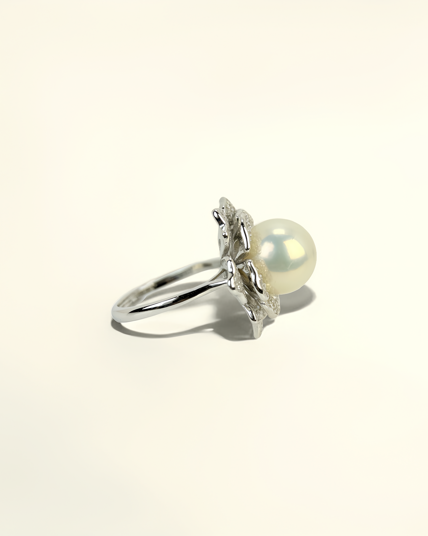 ALBALOTUS | The Lotus Ring