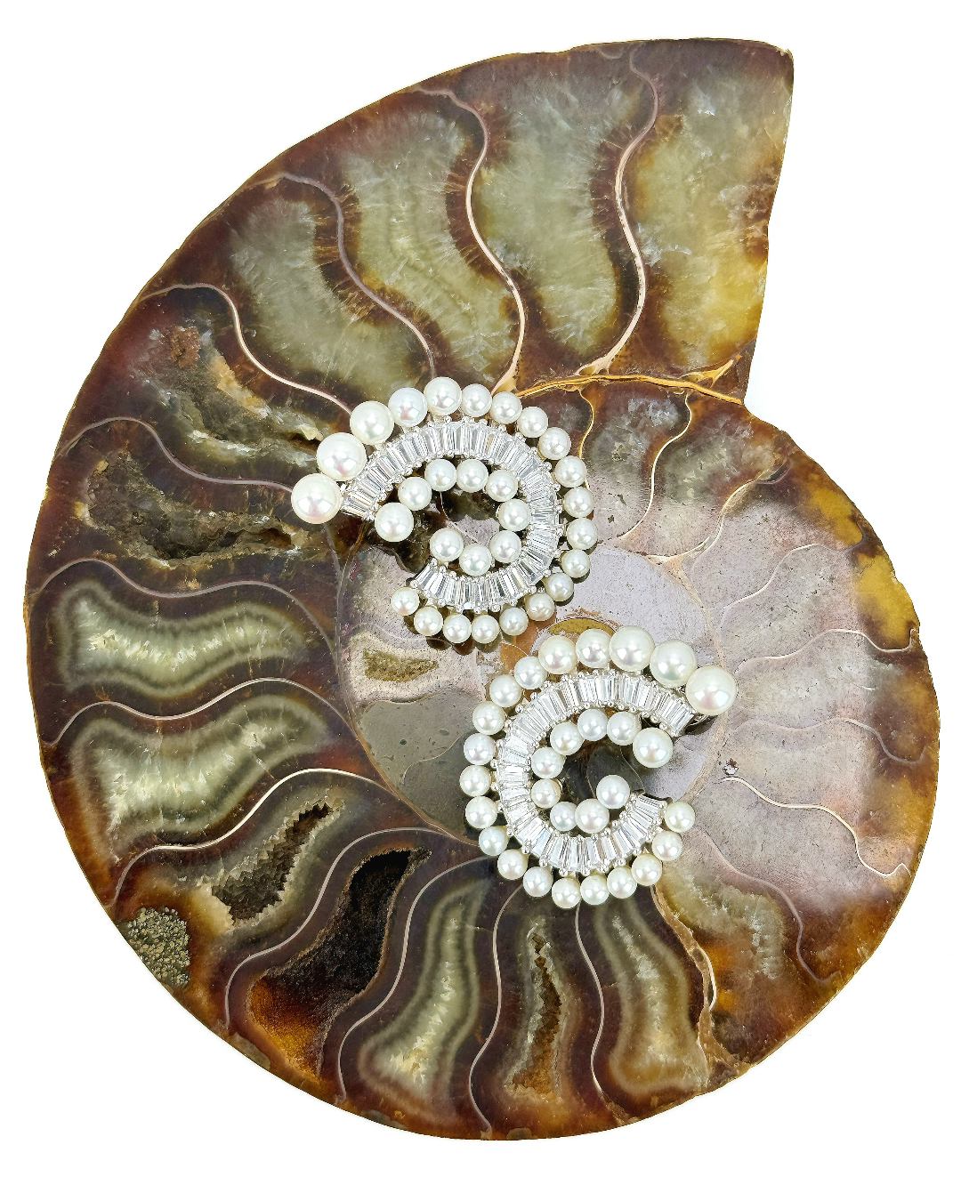 Nautilus | Fossil fresh pearl Earrings