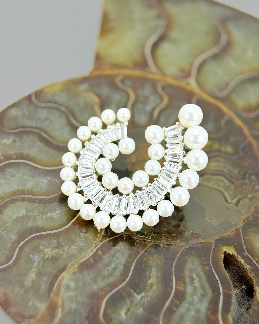 Nautilus | Fossil fresh pearl Earrings