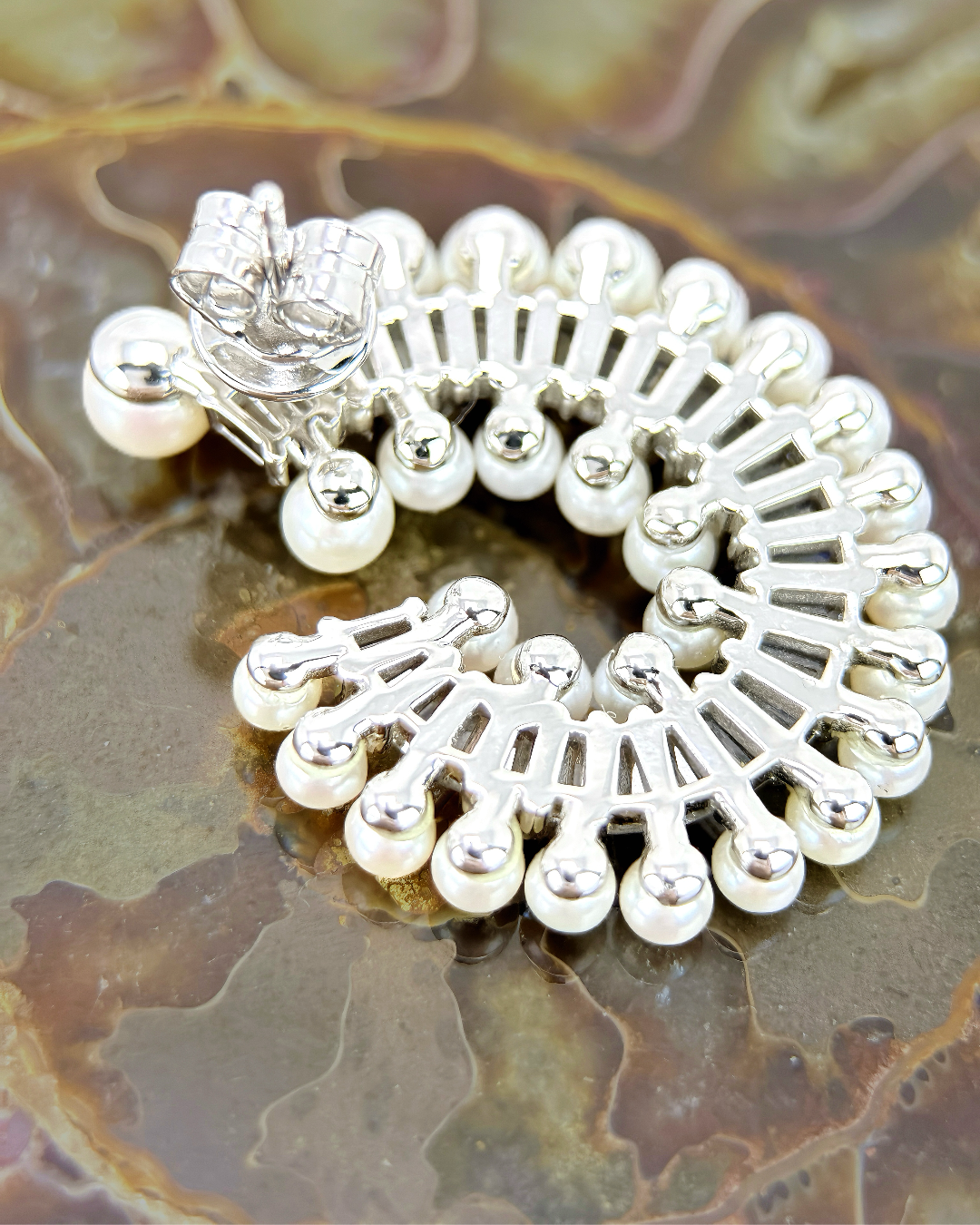 Nautilus | Fossil fresh pearl Earrings